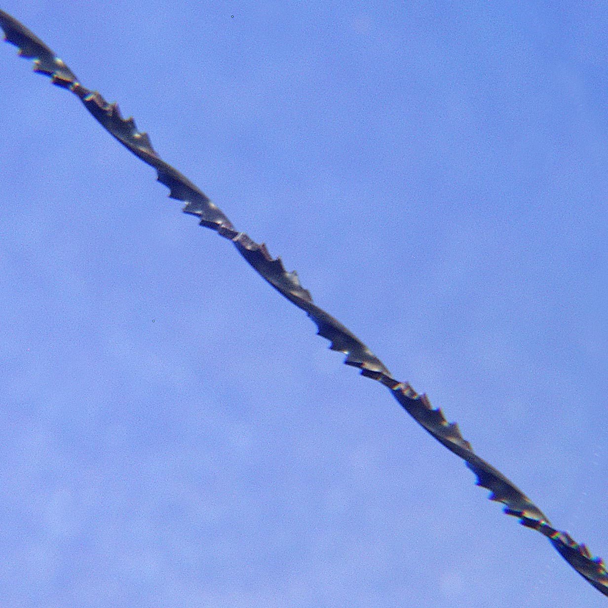 Spiral Saw Blades for MicroLux® Multi-Saw (.034 x .032 Inch, 46 TPI)