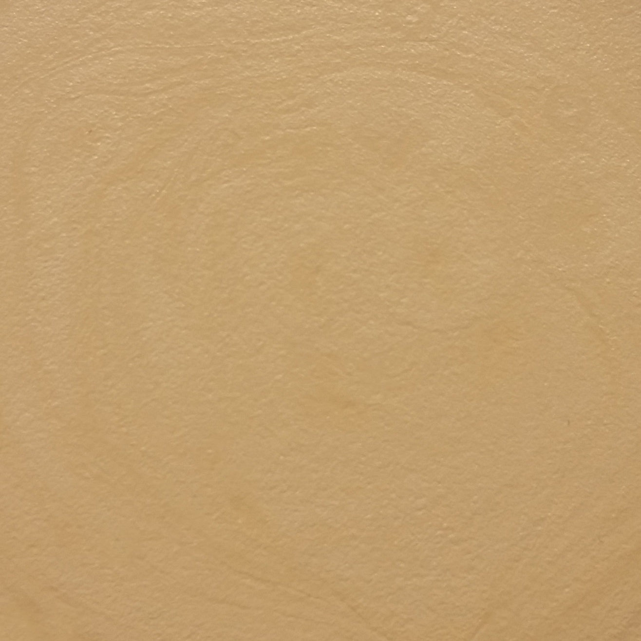 Voodoo Makeup x Corebazaarstore Costume Makeup, Bare Yellow, 2.9 g Pan