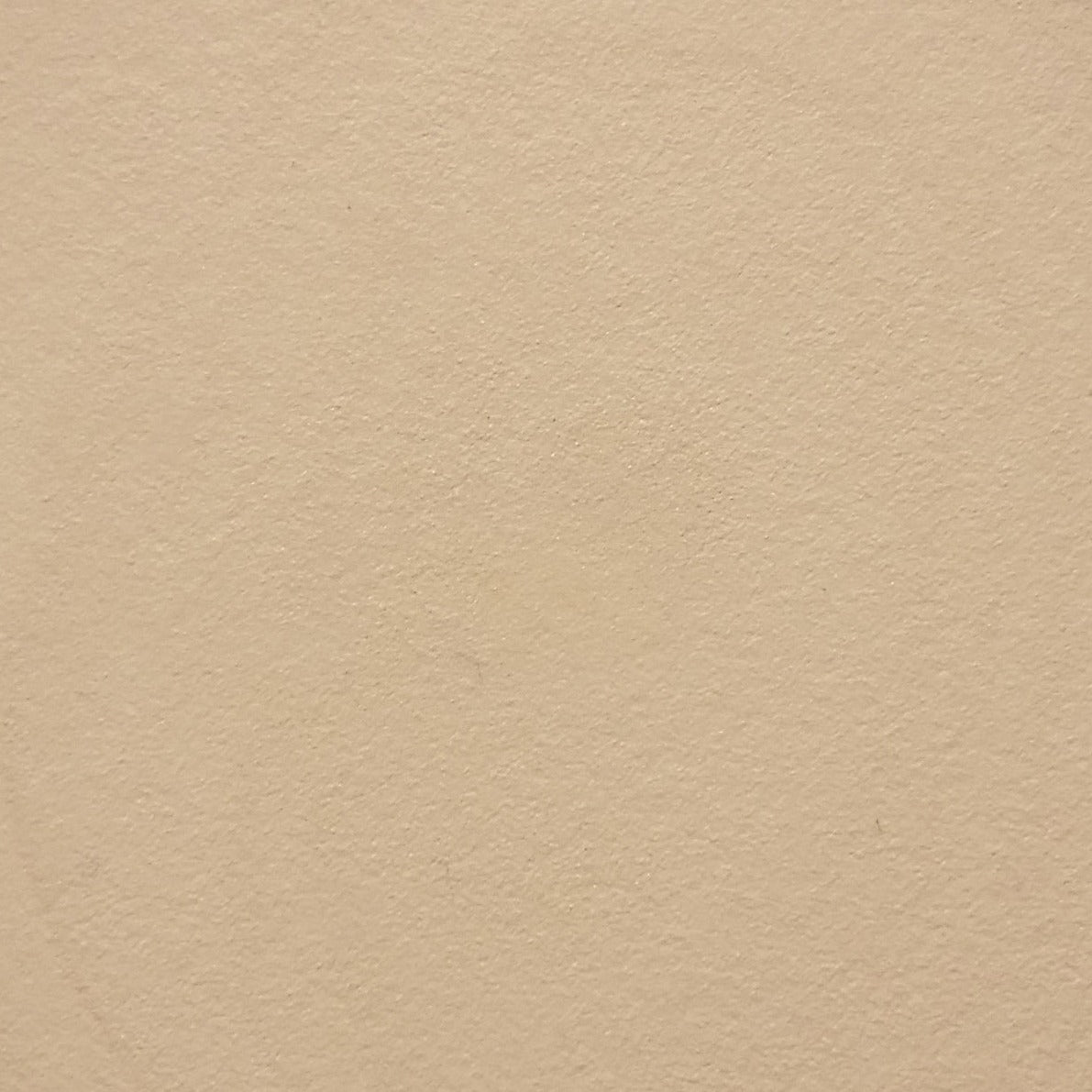 Voodoo Makeup x Corebazaarstore Costume Makeup, Beautiful, 2.9 g Pan